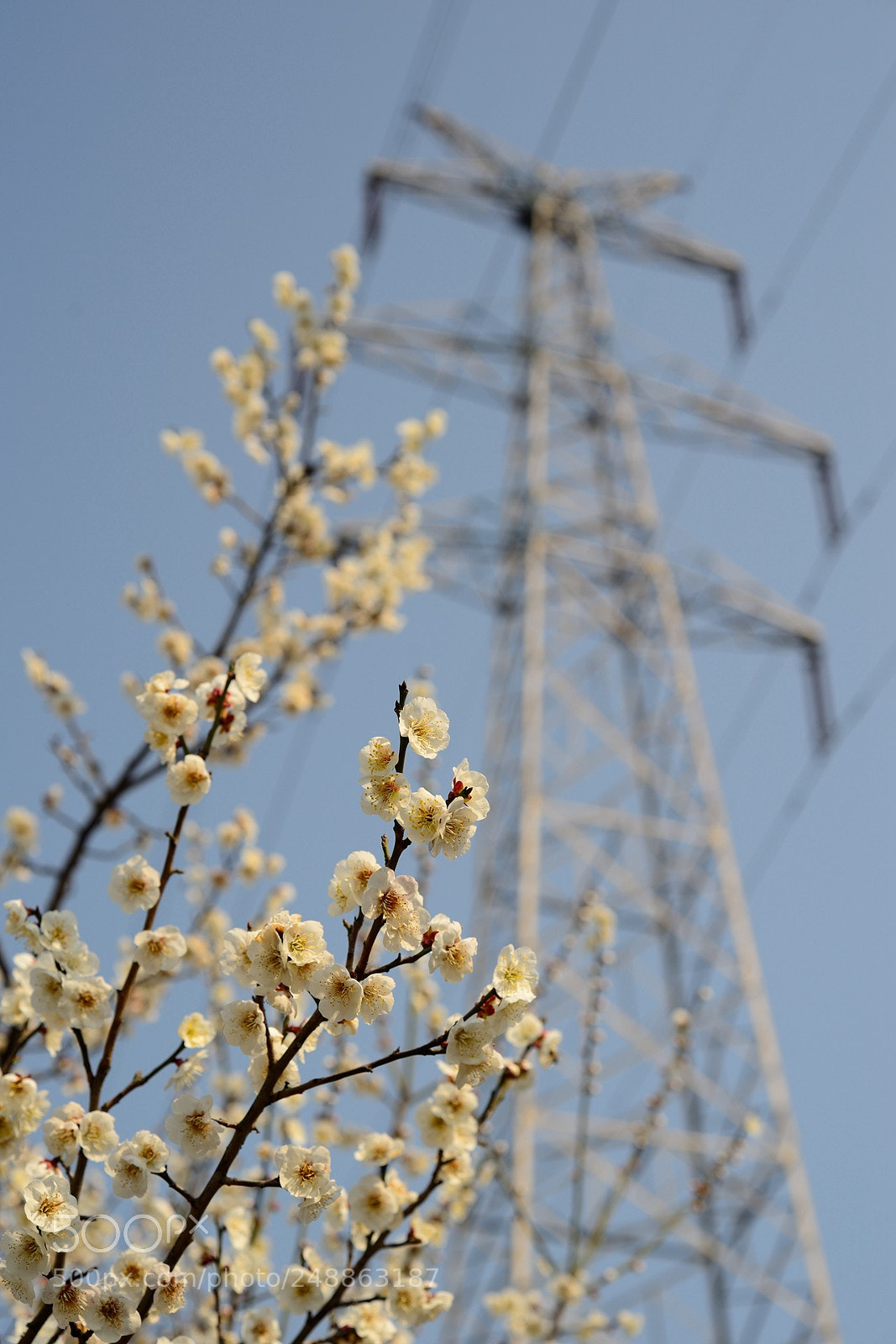 Nikon D600 sample photo. Untitled photography