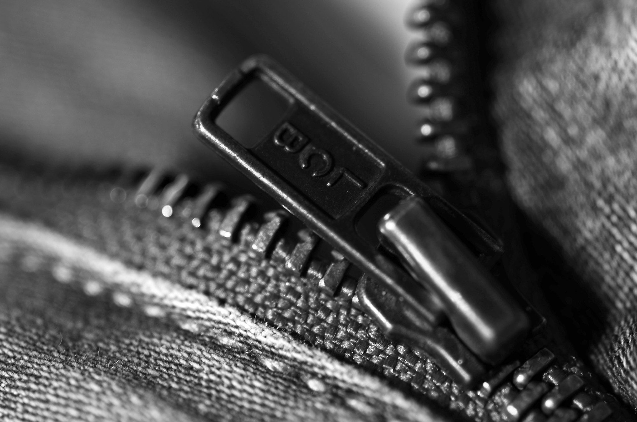 Nikon D7000 + Sigma 105mm F2.8 EX DG Macro sample photo. Zip it photography
