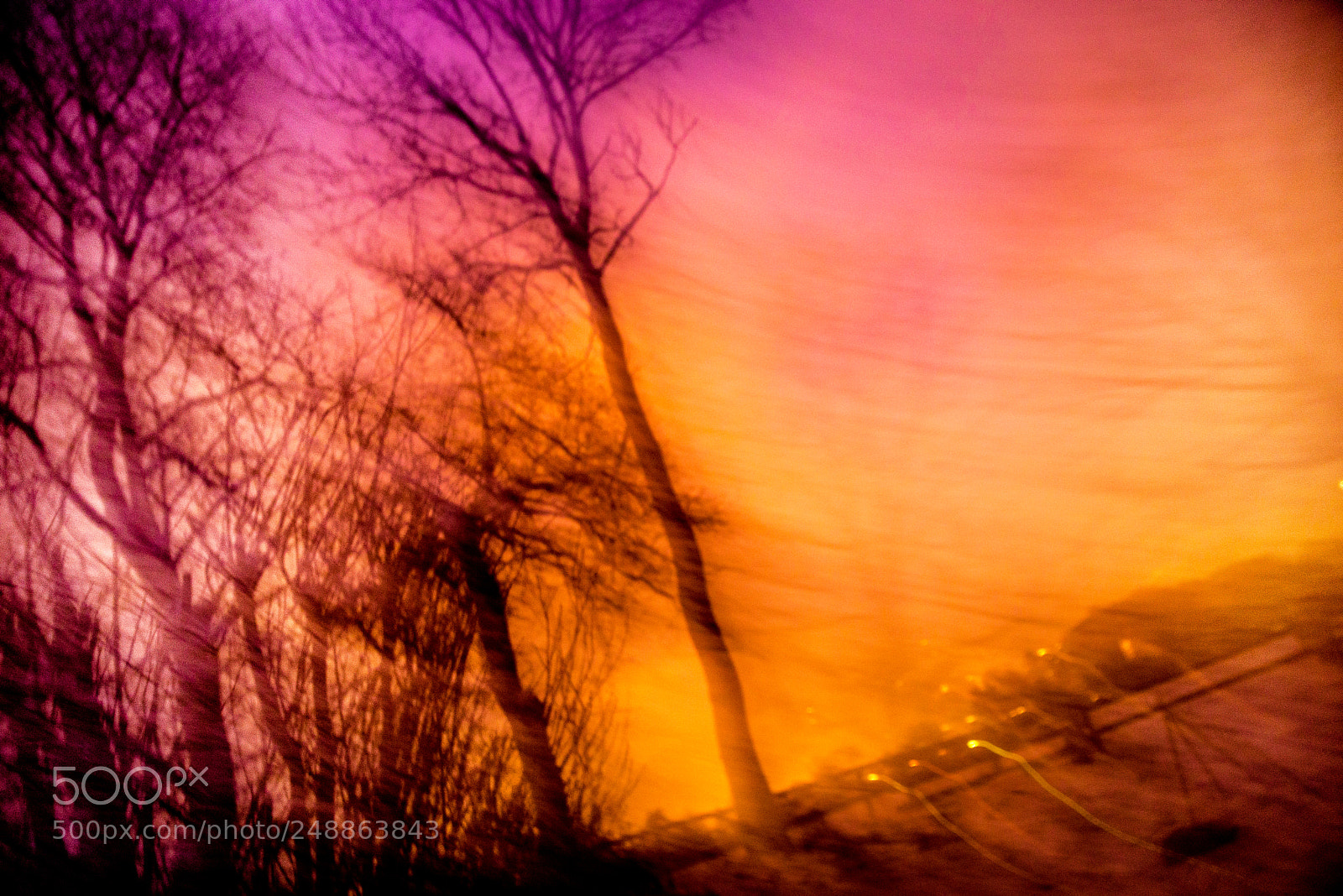Nikon D610 sample photo. Malenmitlicht photography