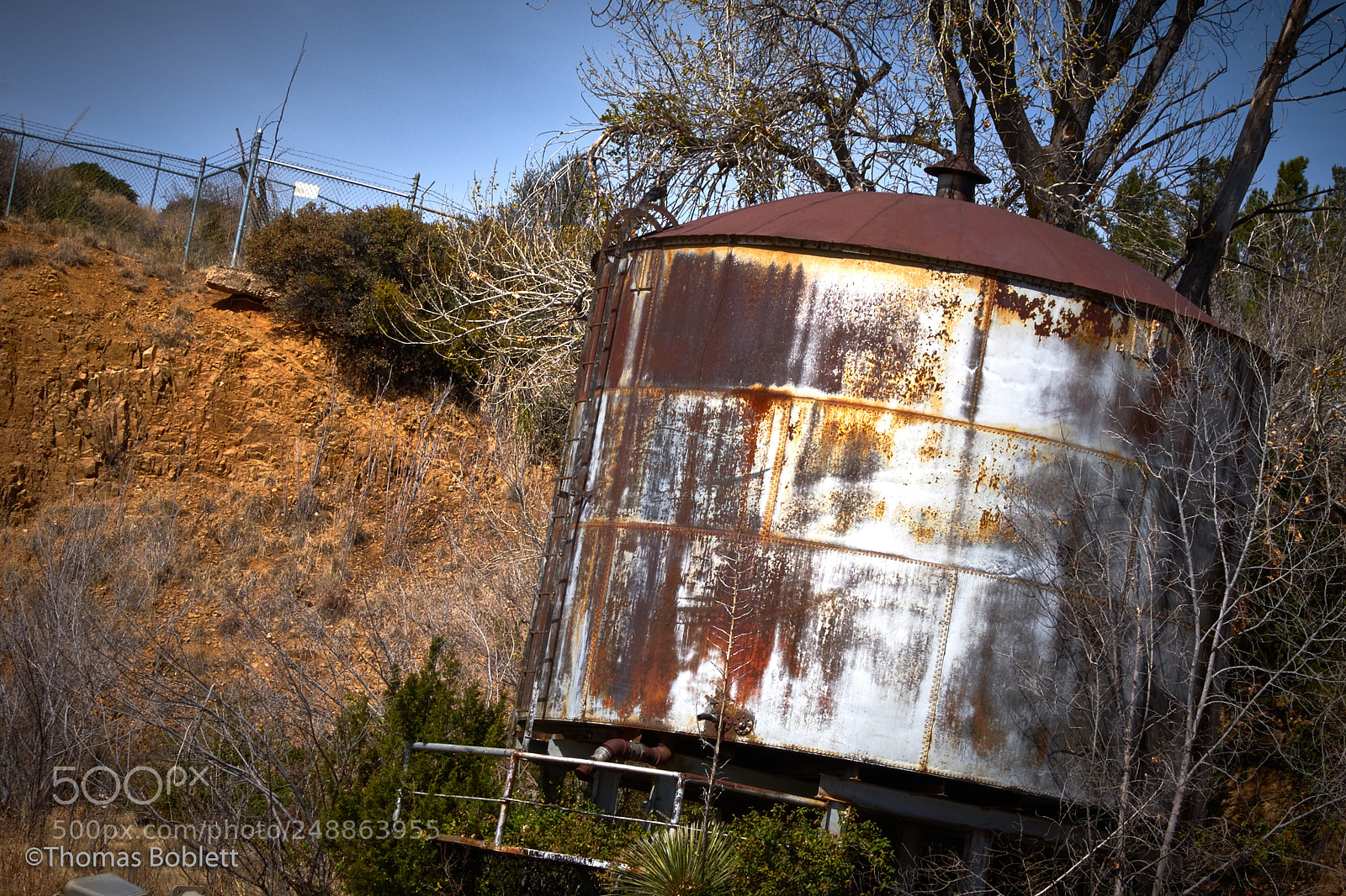 Fujifilm X-T2 sample photo. Water tank photography