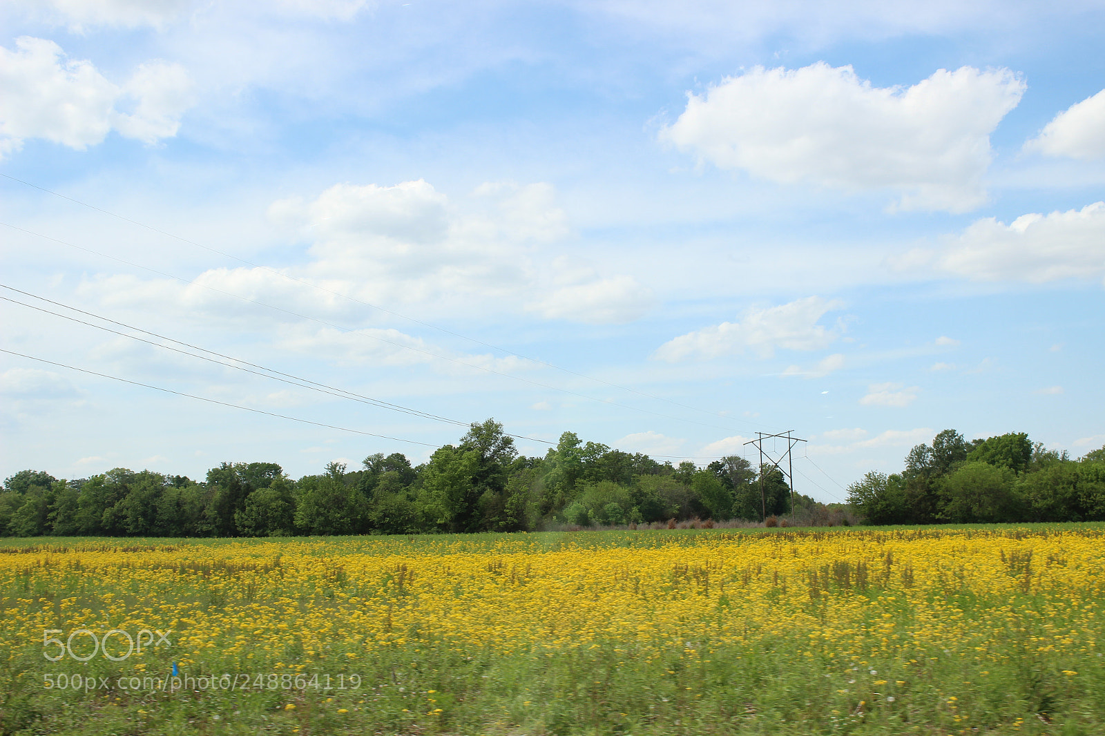 Canon EOS 600D (Rebel EOS T3i / EOS Kiss X5) sample photo. Open field photography