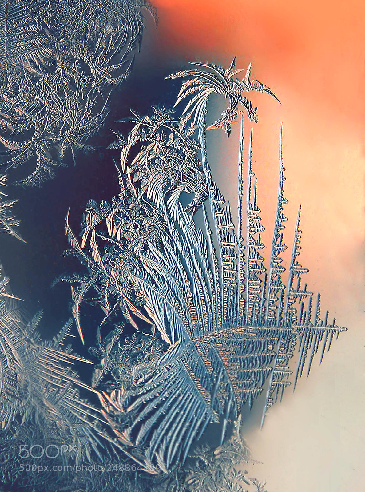 Canon EOS 550D (EOS Rebel T2i / EOS Kiss X4) sample photo. Ice patterns photography