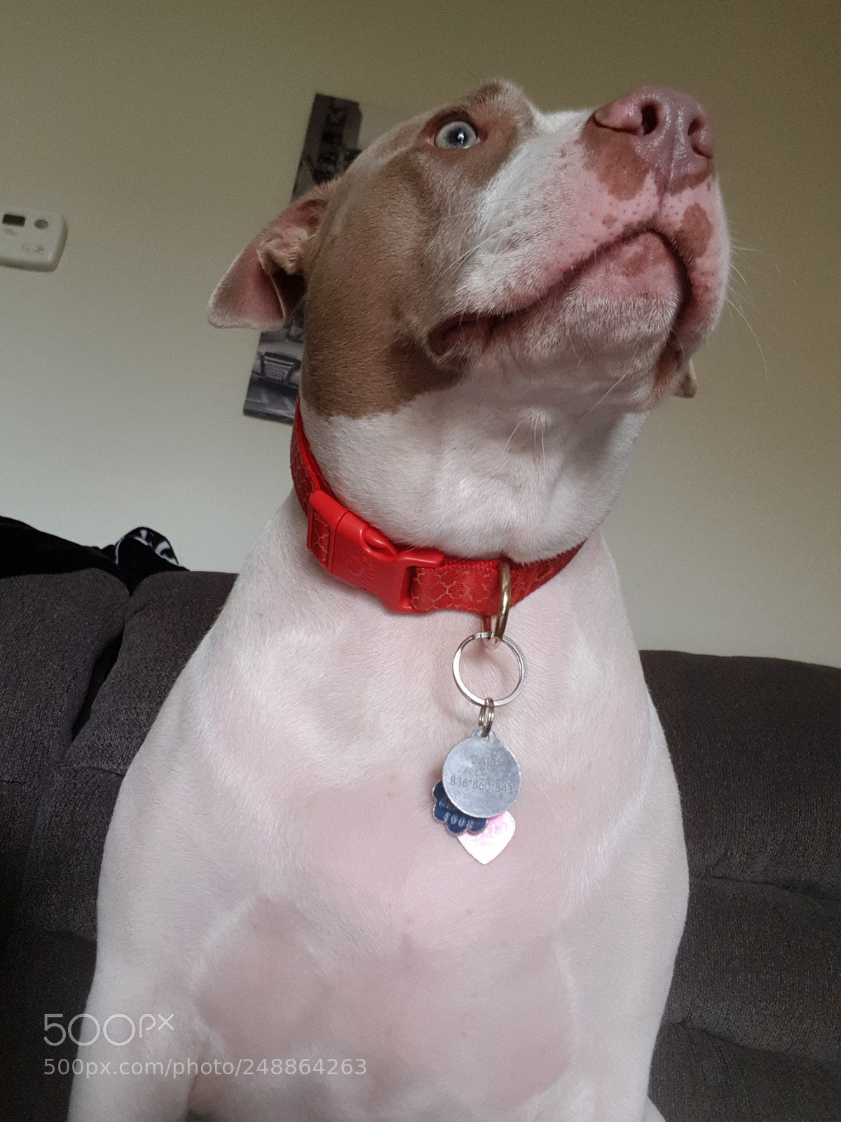 Samsung Galaxy S8 sample photo. Cali our baby girl photography