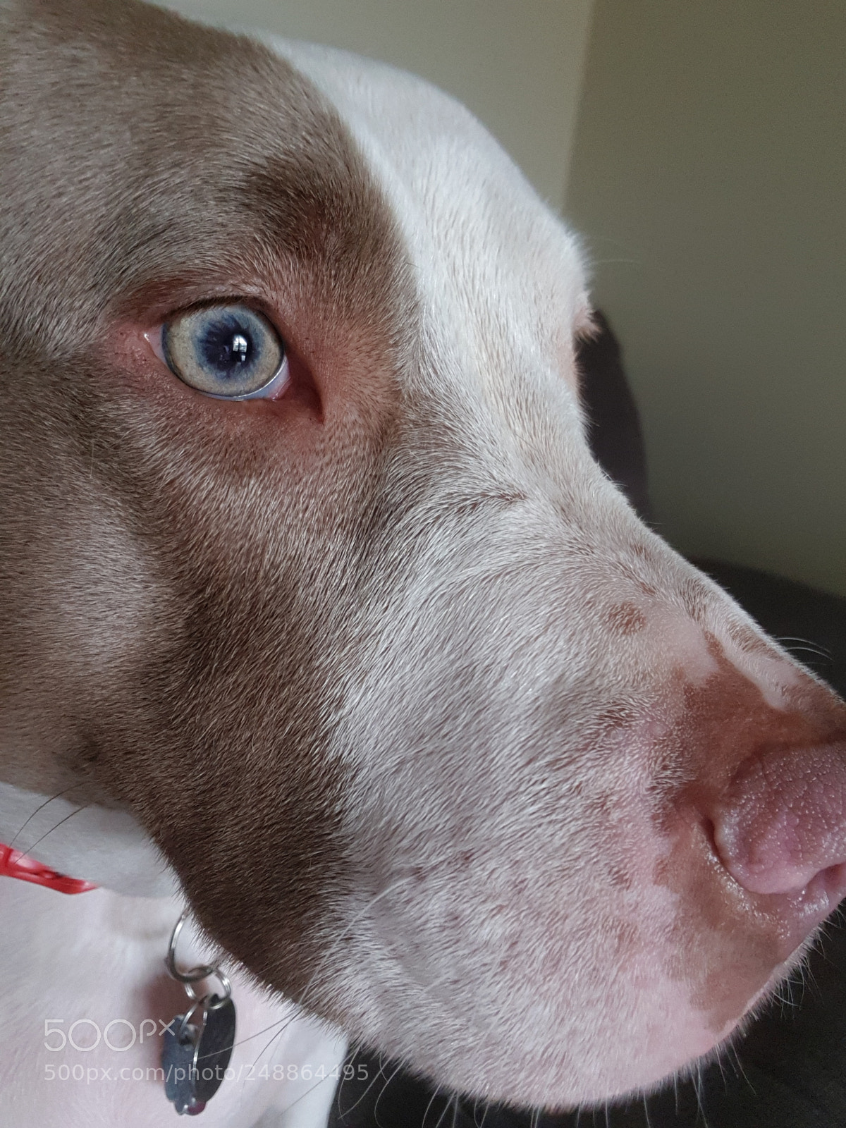 Samsung Galaxy S8 sample photo. I can see you photography