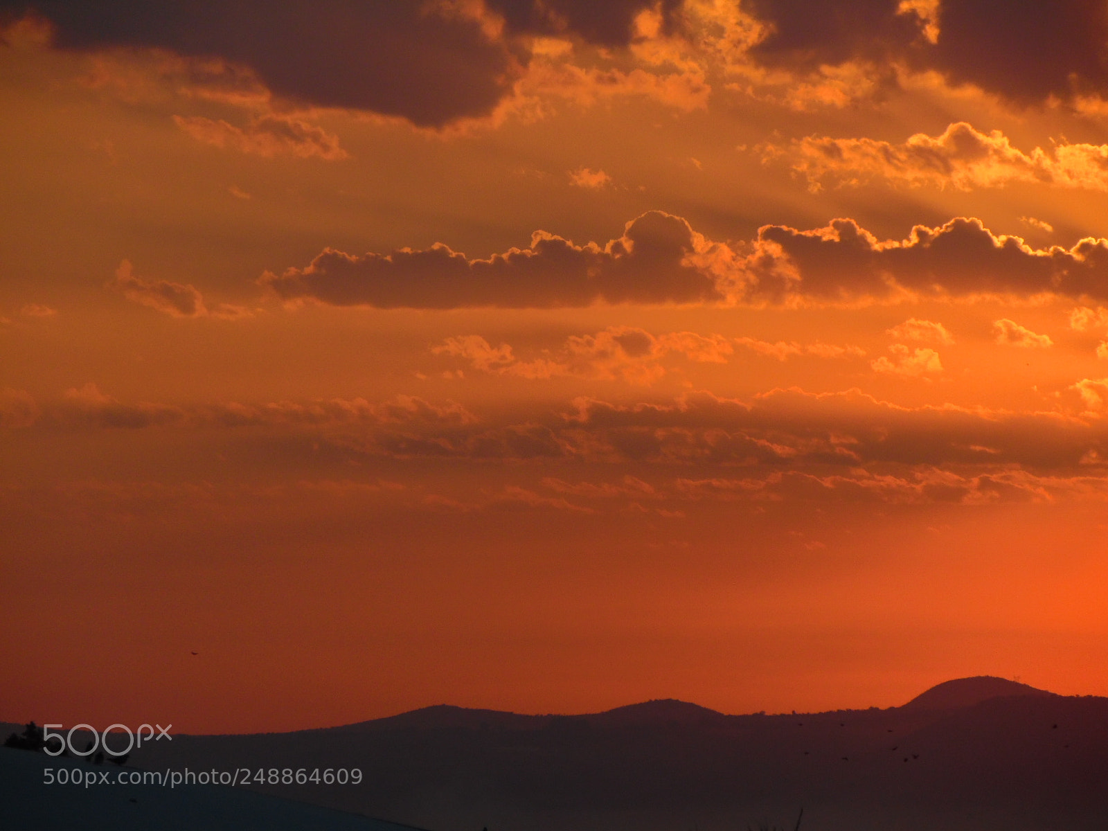Samsung WB1100F/WB1101F/WB1102F sample photo. Red dawn photography