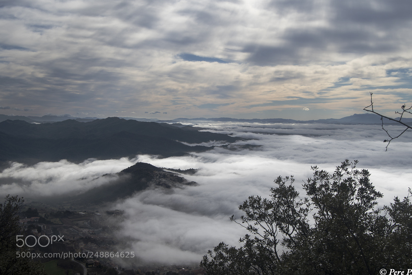 Nikon D7500 sample photo. Fog1 photography