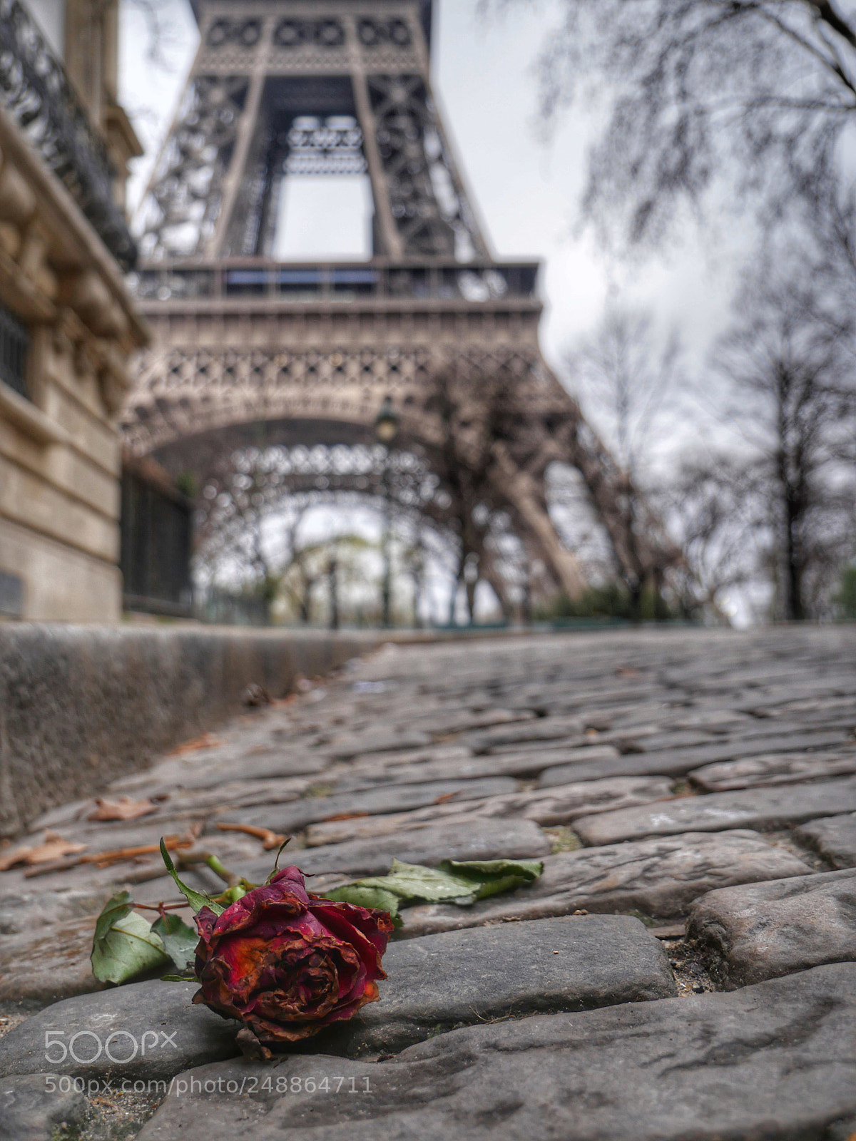 Panasonic Lumix DMC-GH4 sample photo. #love photography