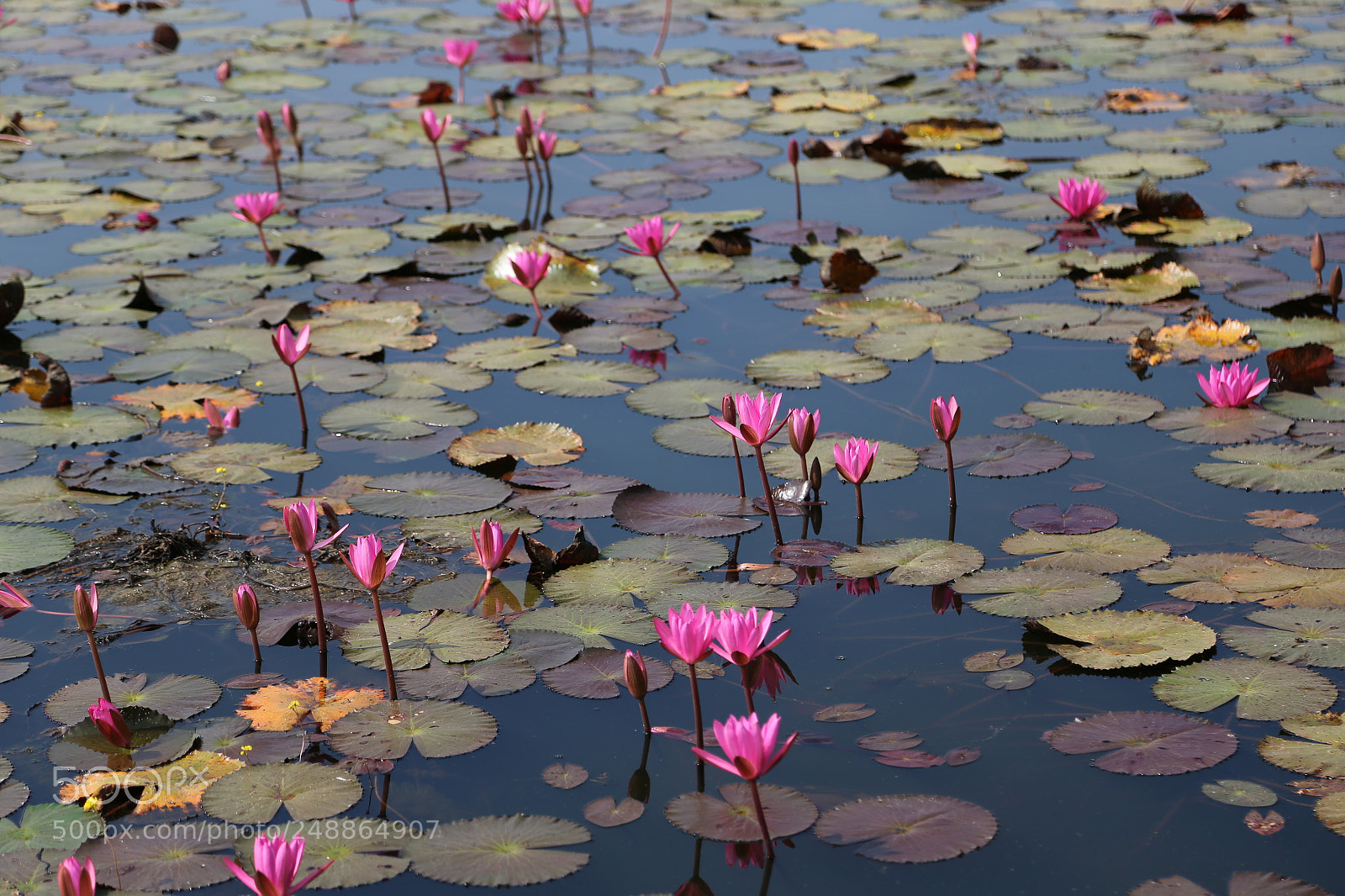 Canon EOS 6D + Canon EF 24-105mm F4L IS USM sample photo. Untitled photography