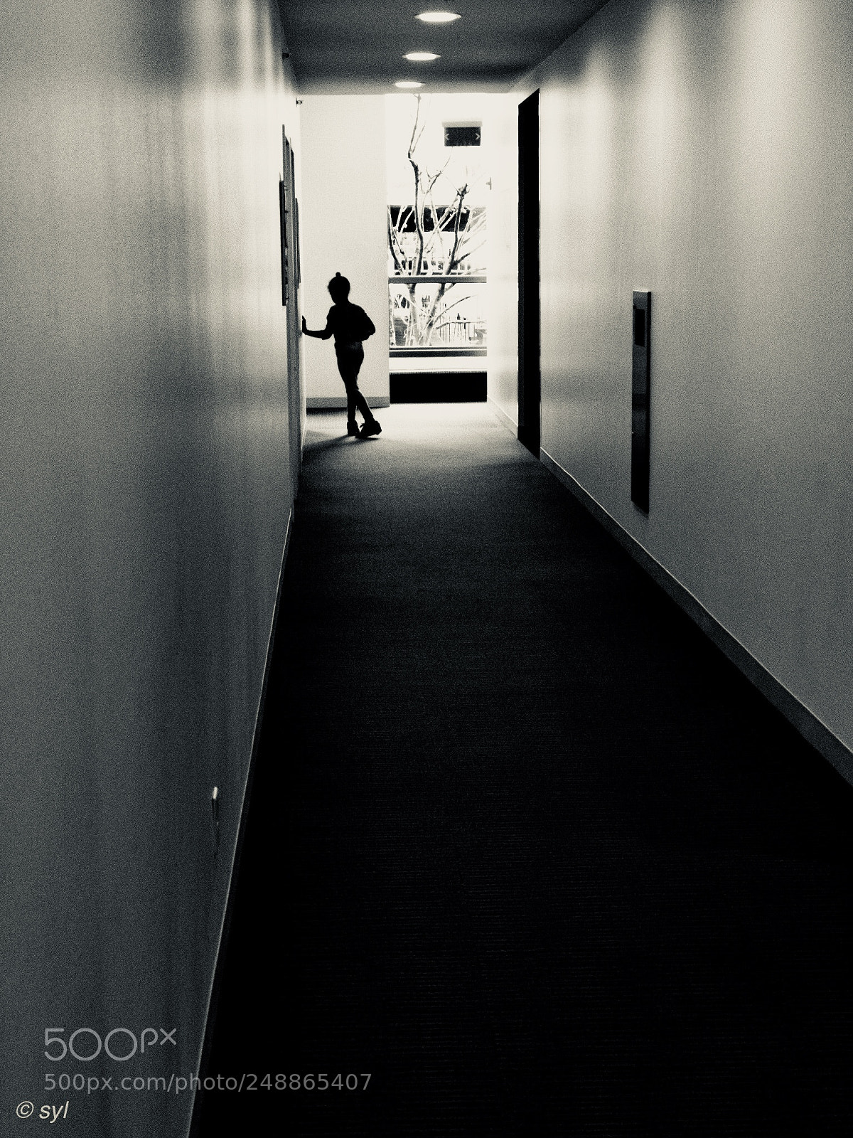 Apple iPhone 8 Plus sample photo. Pathway photography