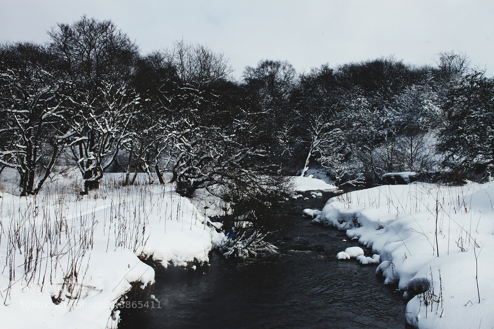 Canon EOS 500D (EOS Rebel T1i / EOS Kiss X3) sample photo. Untitled photography
