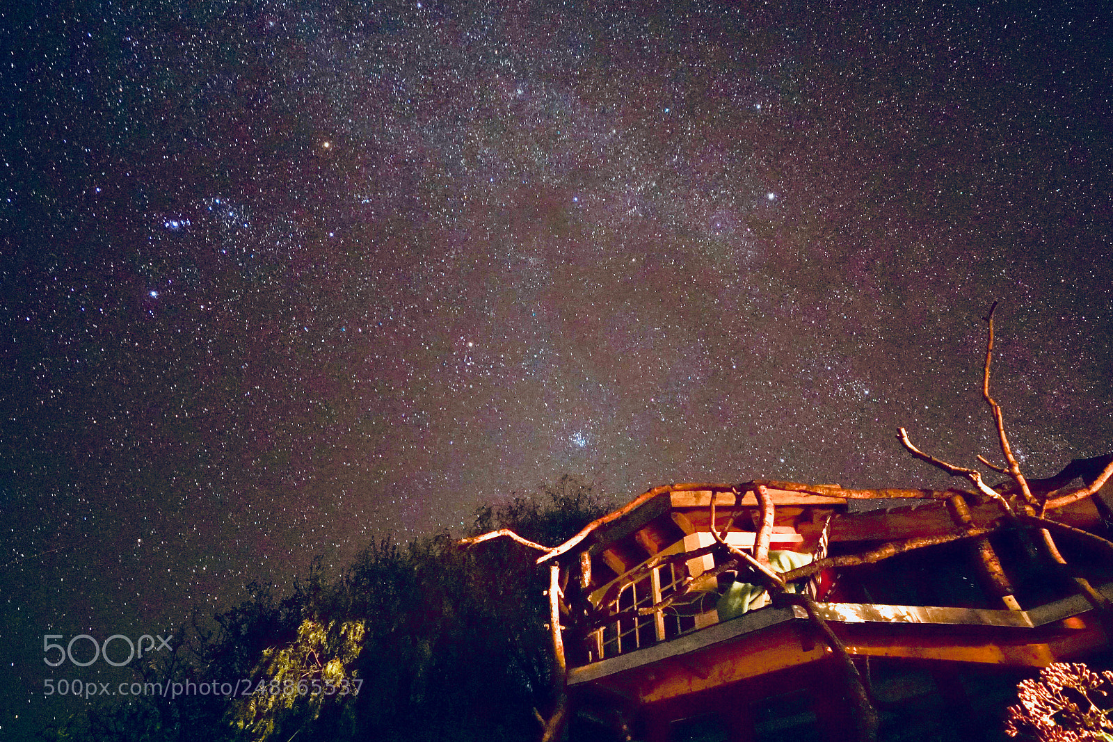 Sony a7S II sample photo. Little tree house at photography