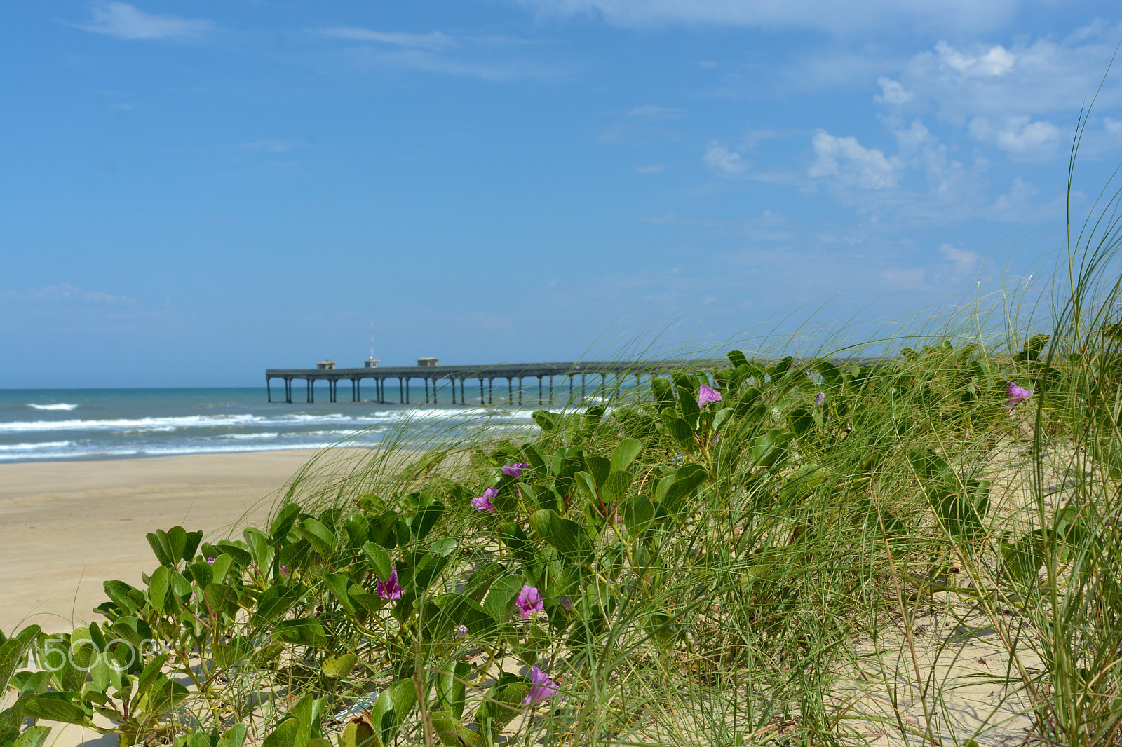 Nikon D7100 + Sigma 18-35mm F1.8 DC HSM Art sample photo. Plataforma ao mar photography