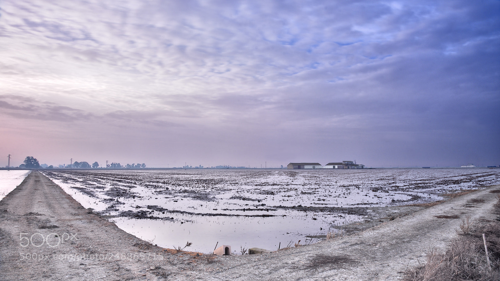 Nikon D7200 sample photo. Riso amaro. photography