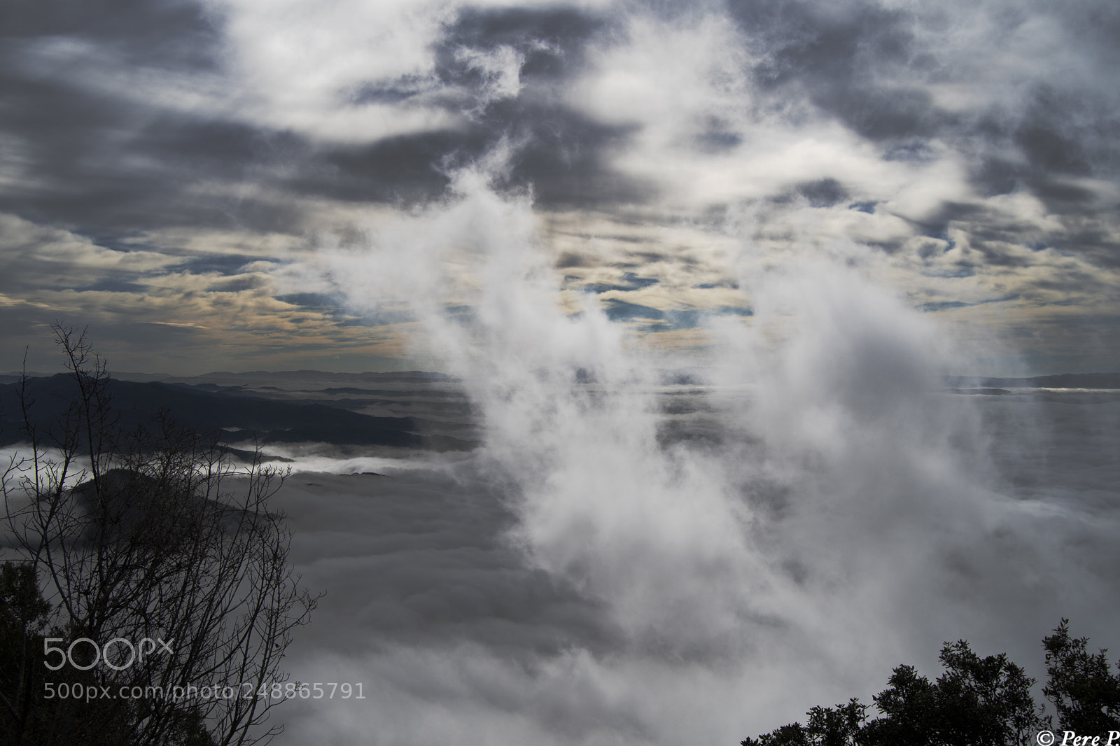 Nikon D7500 sample photo. Foggy morning photography
