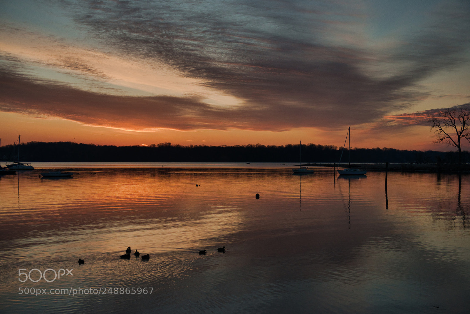 Nikon D800 sample photo. Dawn at the dyke photography