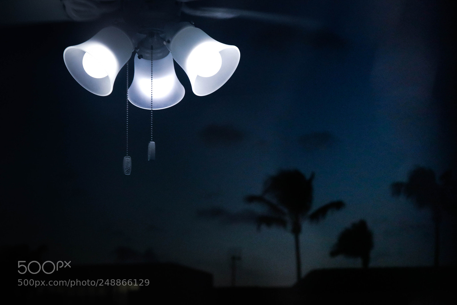 Canon EOS 80D sample photo. Bulb light on sunset photography