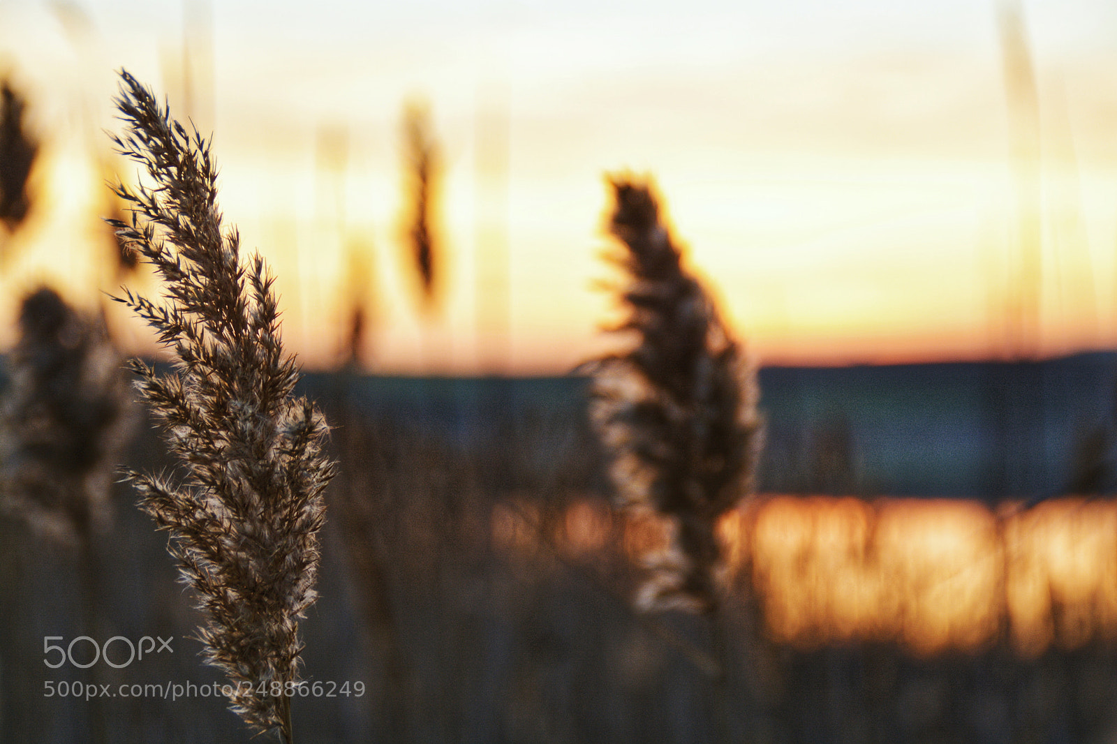 Nikon D7100 sample photo. But it will comeback! photography