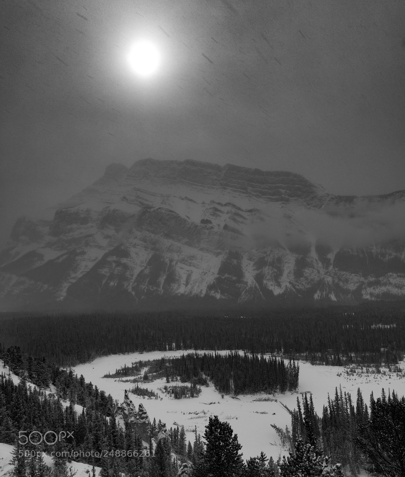 Nikon D850 sample photo. Winter photography