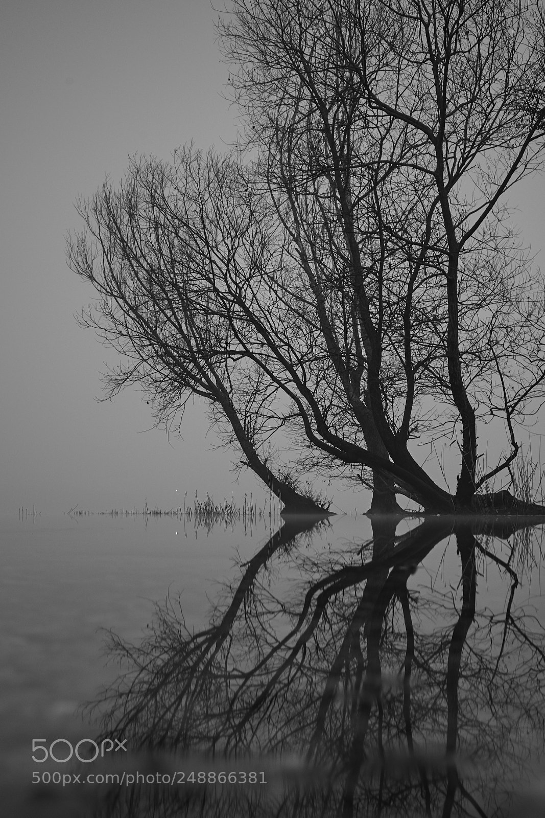 Ricoh GR II sample photo. Night lake photography