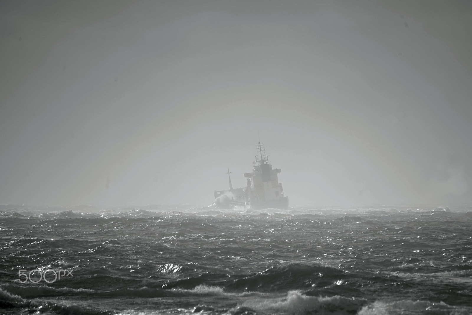Sigma 150-500mm F5-6.3 DG OS HSM sample photo. Tempestade felix photography