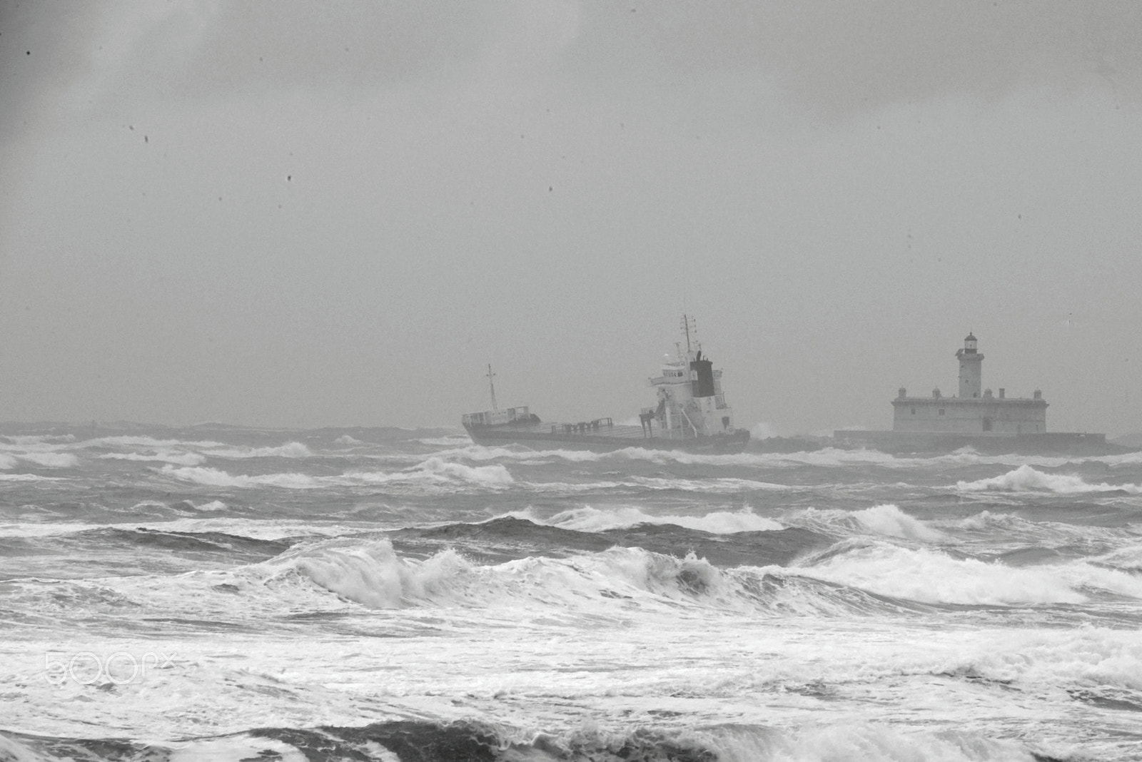 Sigma 150-500mm F5-6.3 DG OS HSM sample photo. Tempestade felix photography
