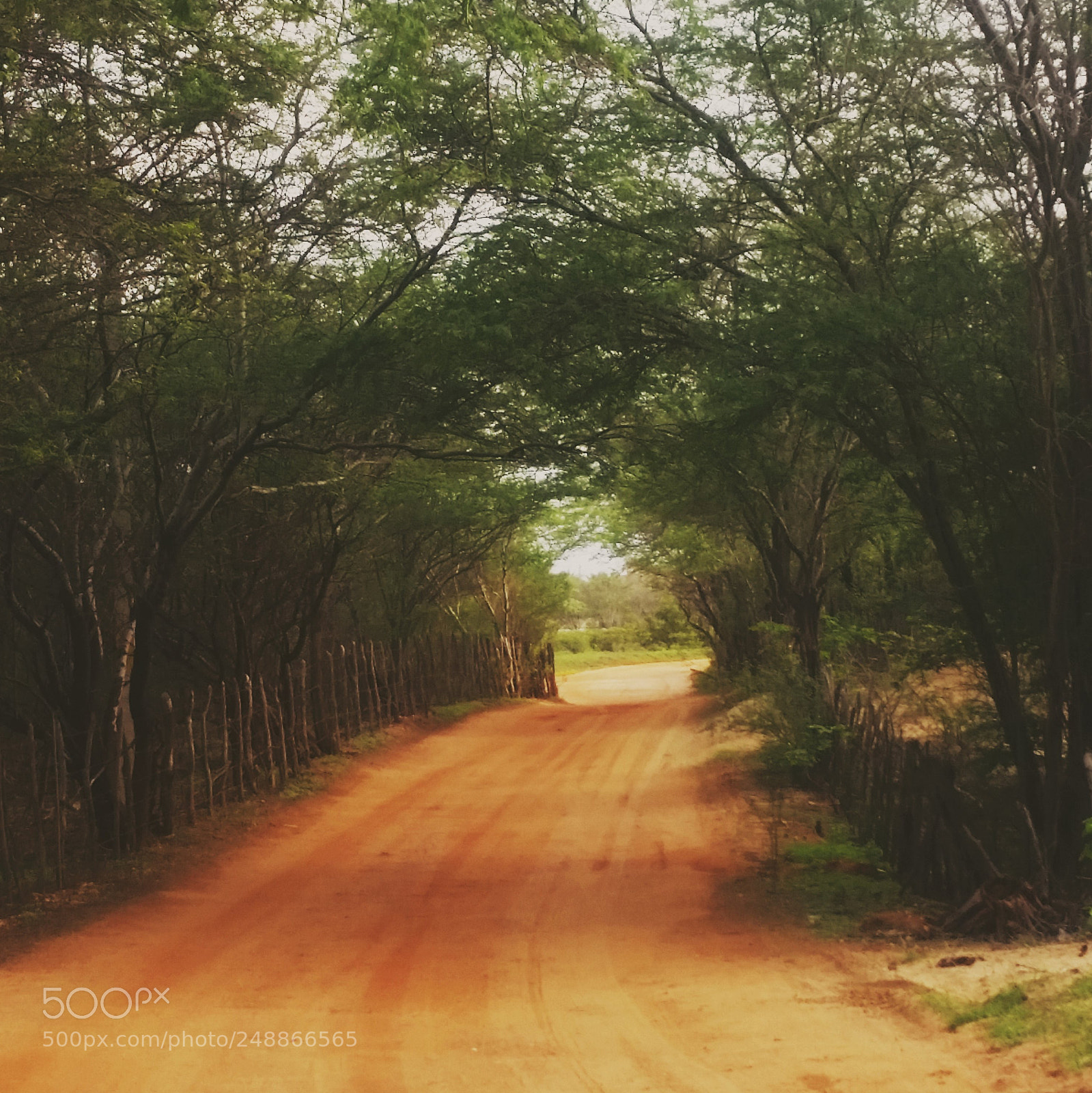 Samsung Galaxy S5 sample photo. A path photography