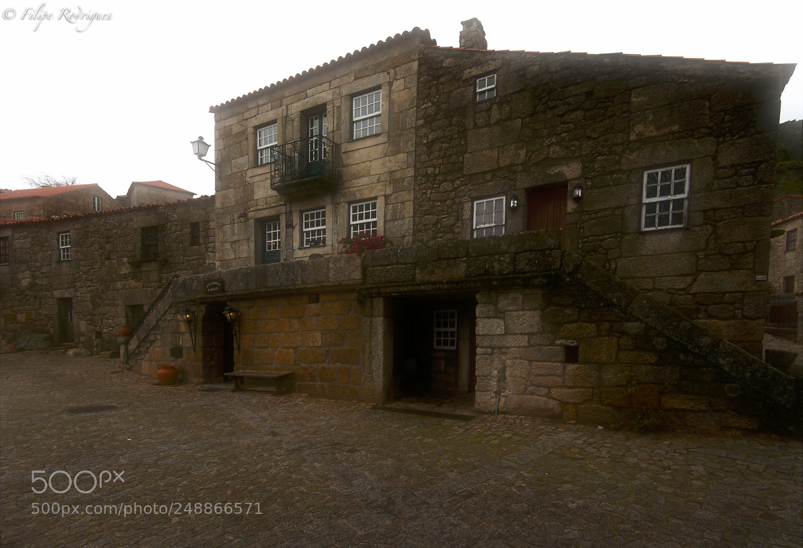 Nikon D800E sample photo. Fog moving in photography
