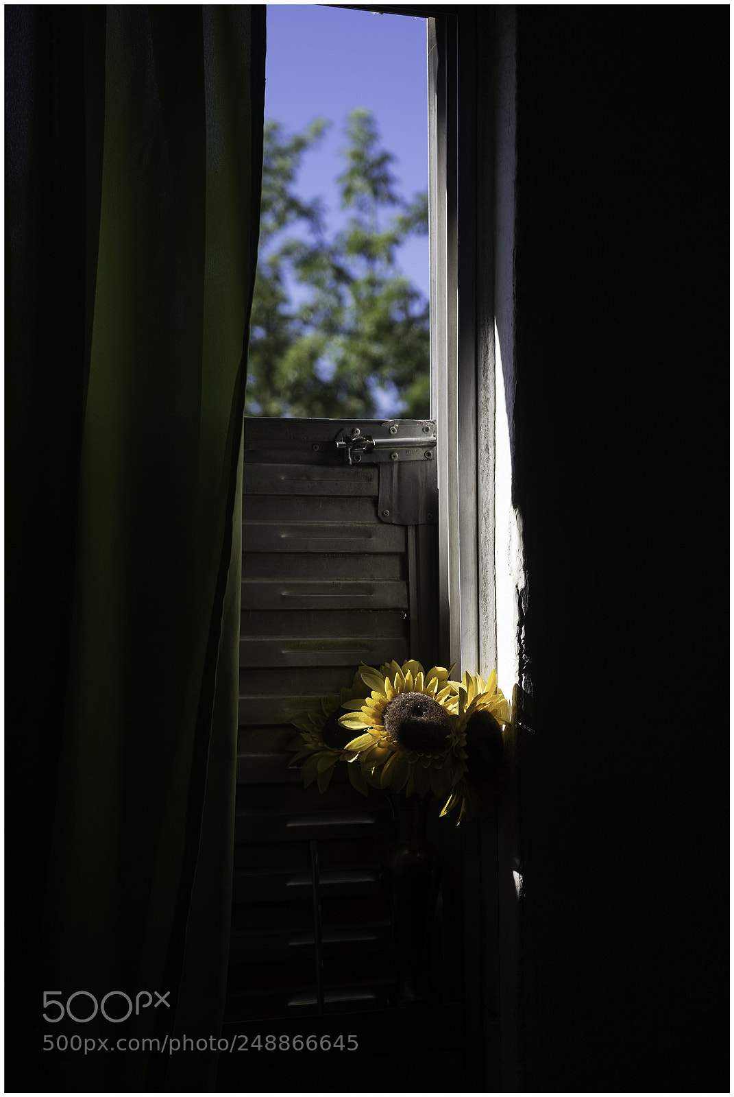 Sony a7 sample photo. Al sol photography