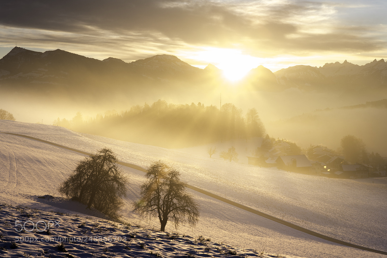 Nikon D850 sample photo. Sonnenberg sun flood photography