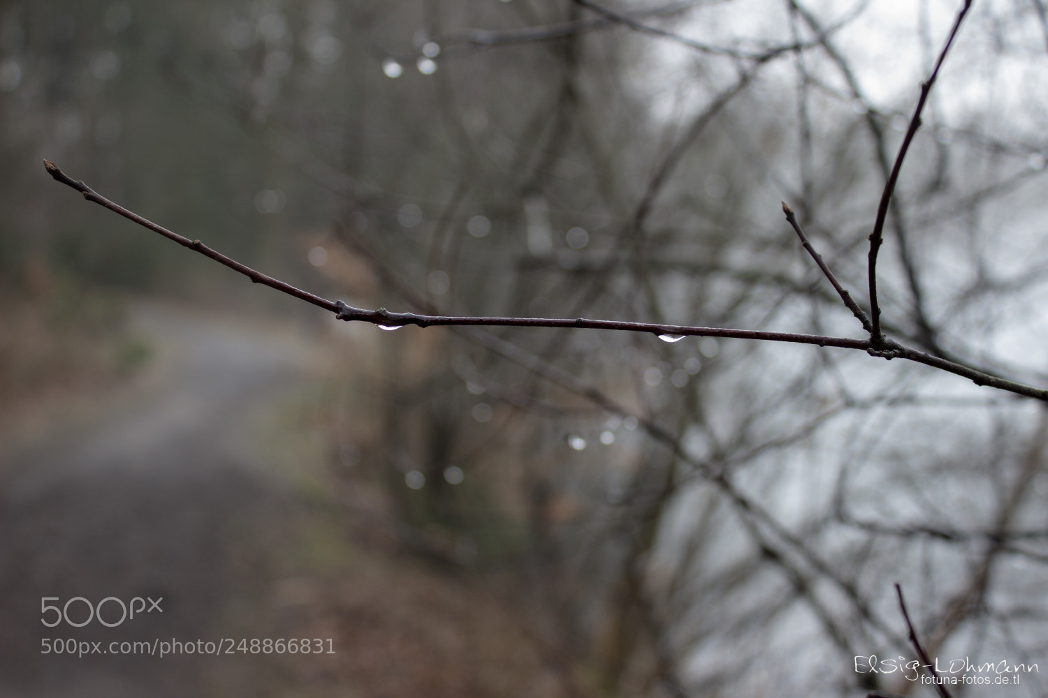 Canon EOS 600D (Rebel EOS T3i / EOS Kiss X5) sample photo. Thaw photography