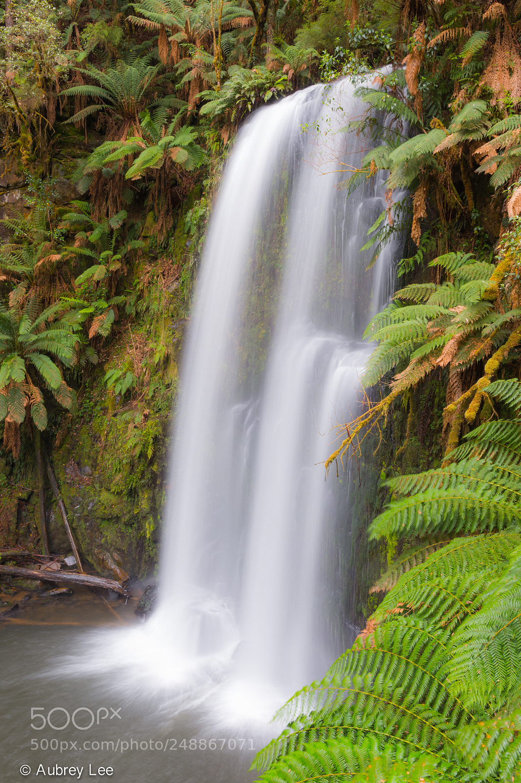 Nikon D610 sample photo. Free fallin' photography
