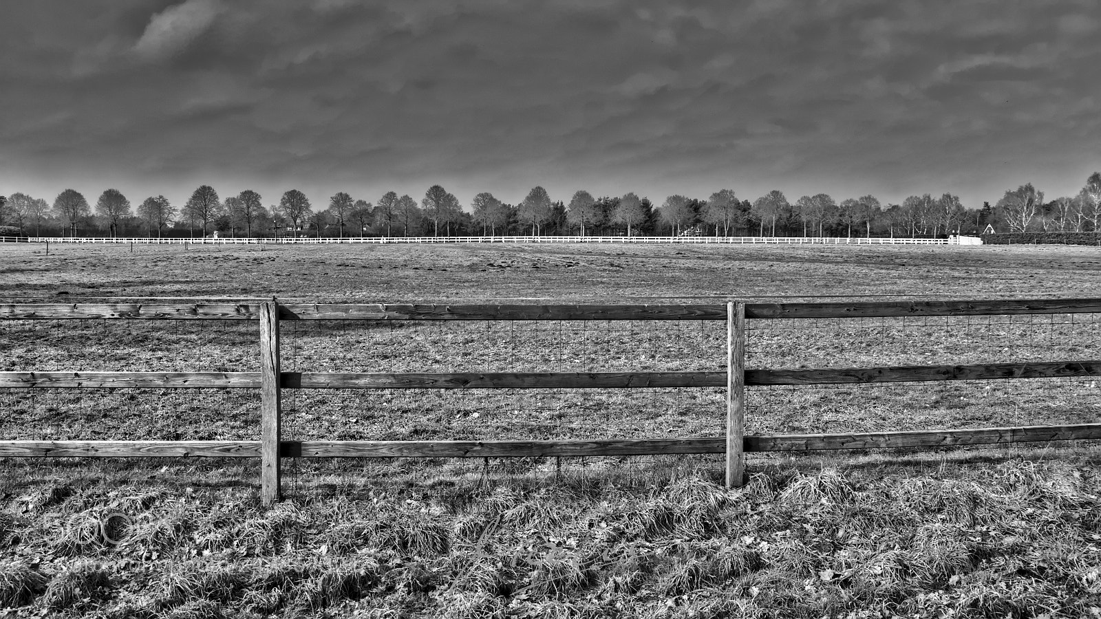 Nikon D90 sample photo. From fence to fence photography