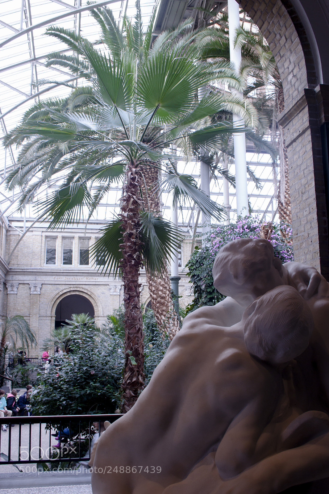 Canon EOS 500D (EOS Rebel T1i / EOS Kiss X3) sample photo. Palm love photography