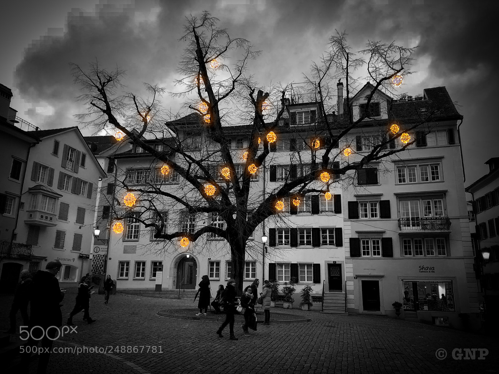 Apple iPhone X sample photo. Zúrich tree photography