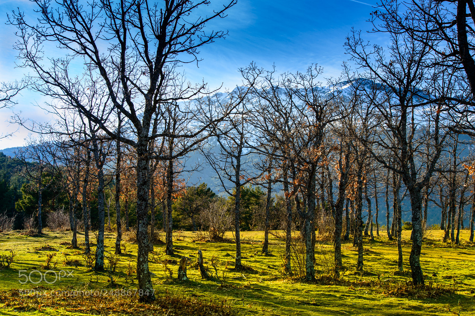 Nikon D3200 sample photo. Mirador de los robledos photography
