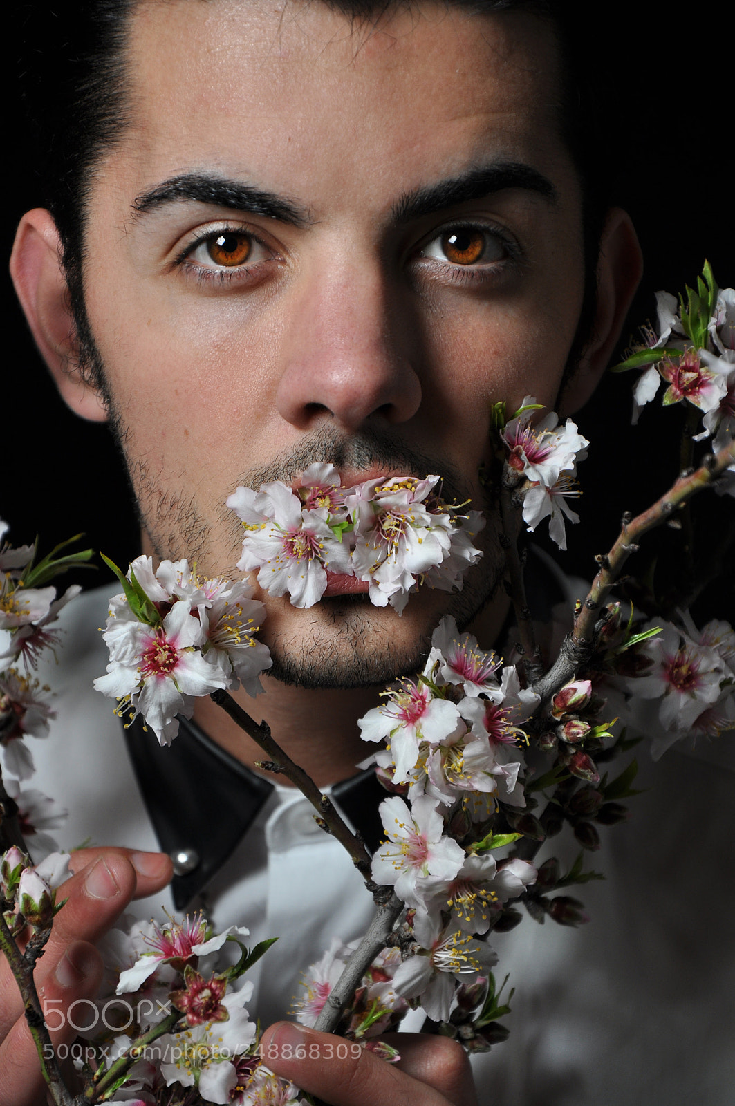 Nikon D90 sample photo. For you photography