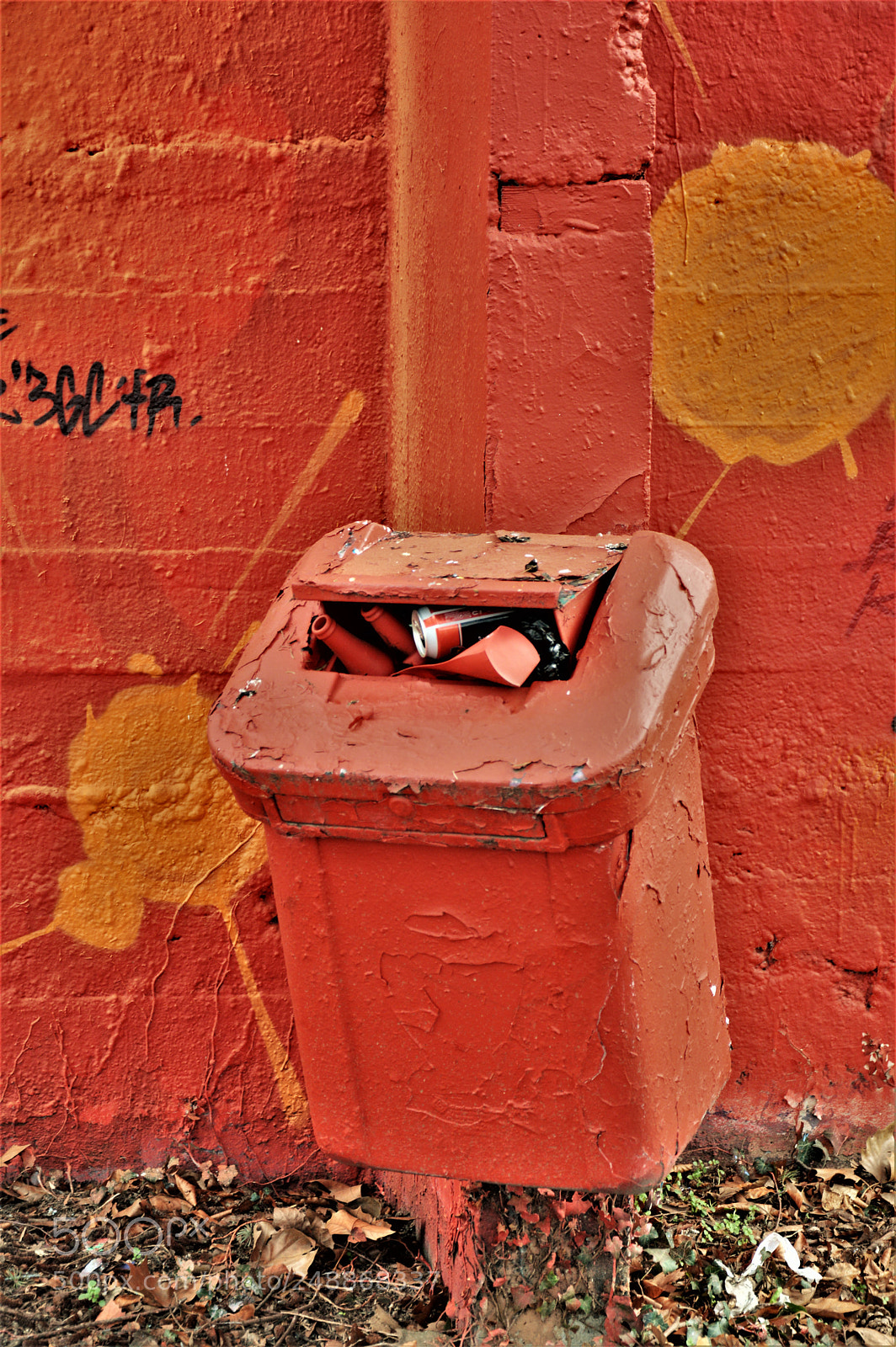 Nikon D3200 sample photo. Untitled photography