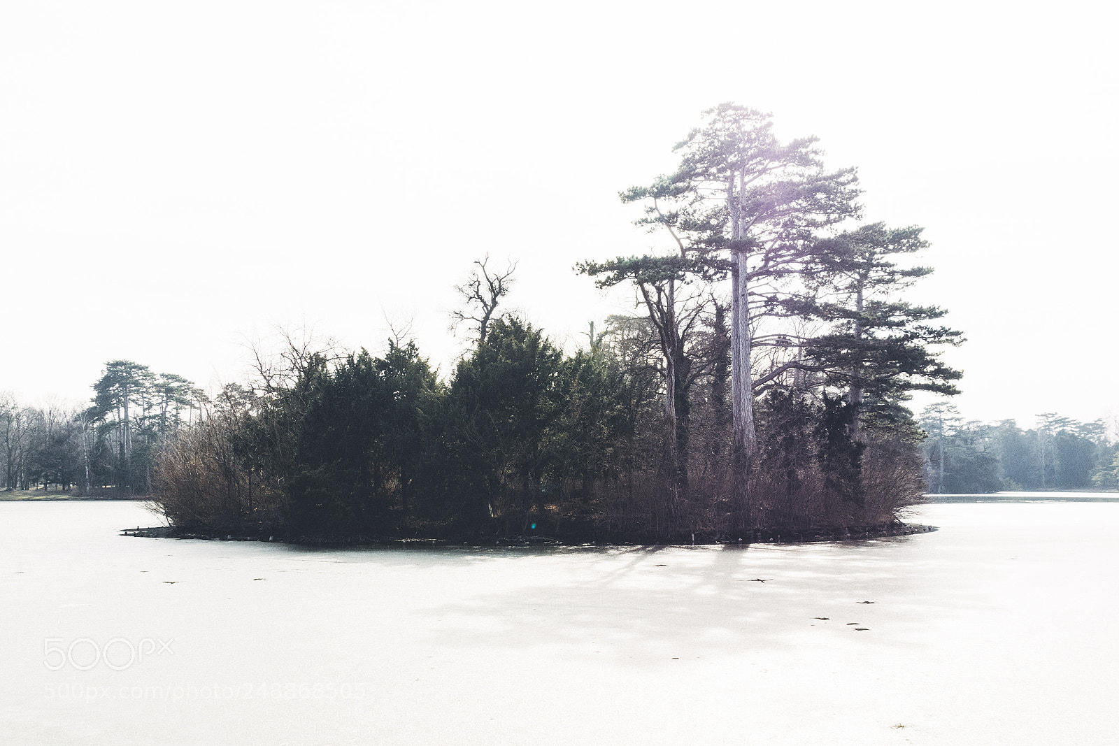 Nikon D7100 sample photo. Insel photography