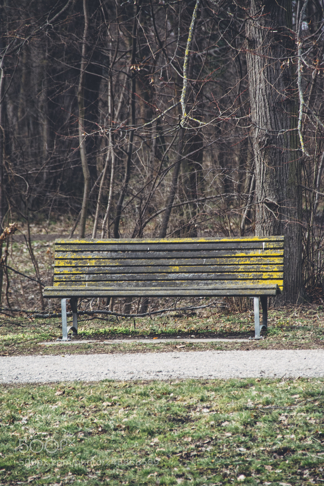 Nikon D7100 sample photo. Patina photography
