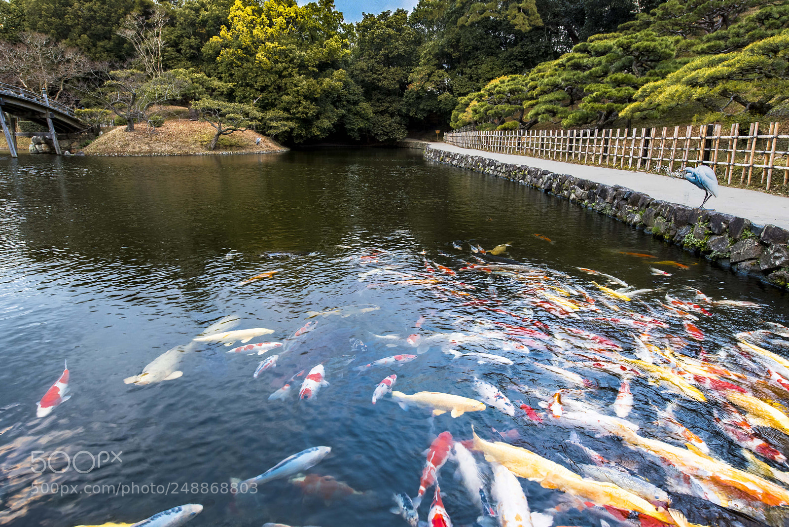 Nikon D810 sample photo. Concentration photography