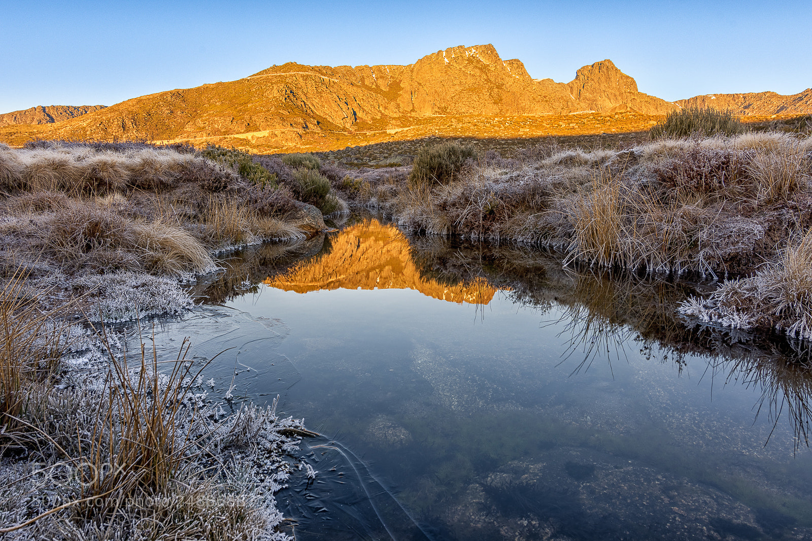 Nikon D7200 sample photo. Frosty morning photography
