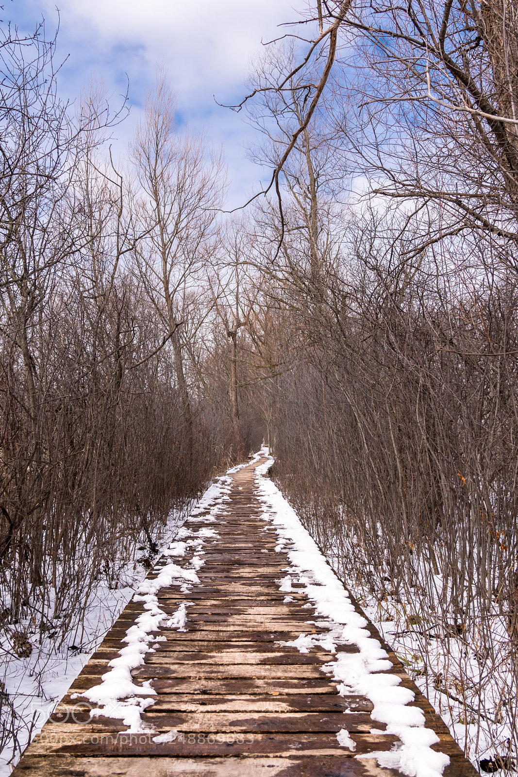 Nikon D5600 sample photo. Walkway photography