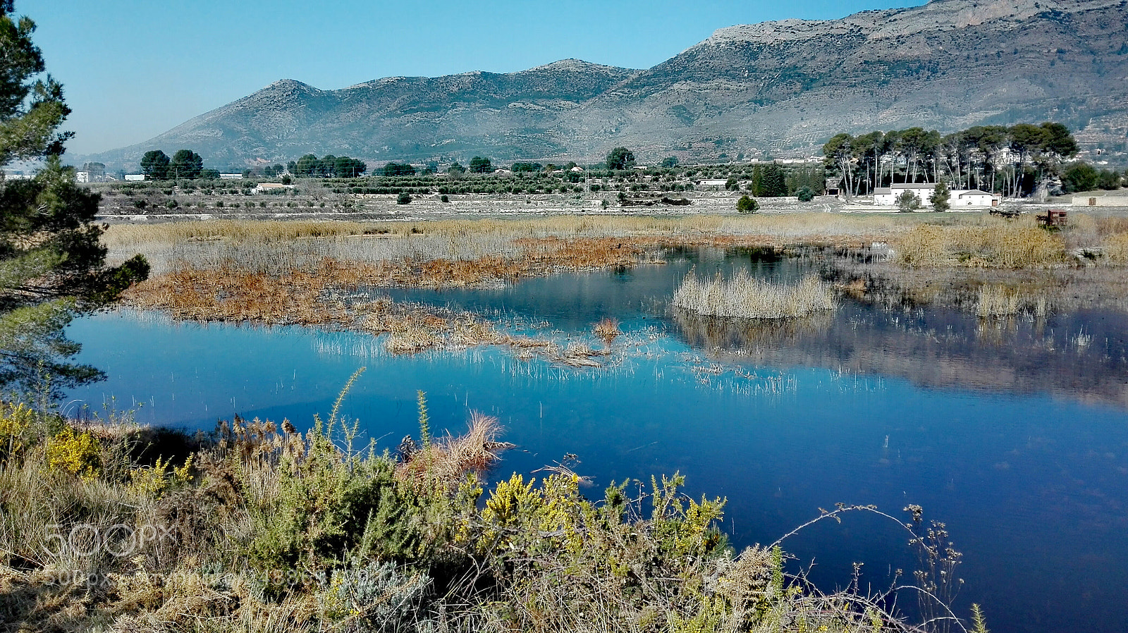 HUAWEI P8 Lite sample photo. Albufera de gaianes photography