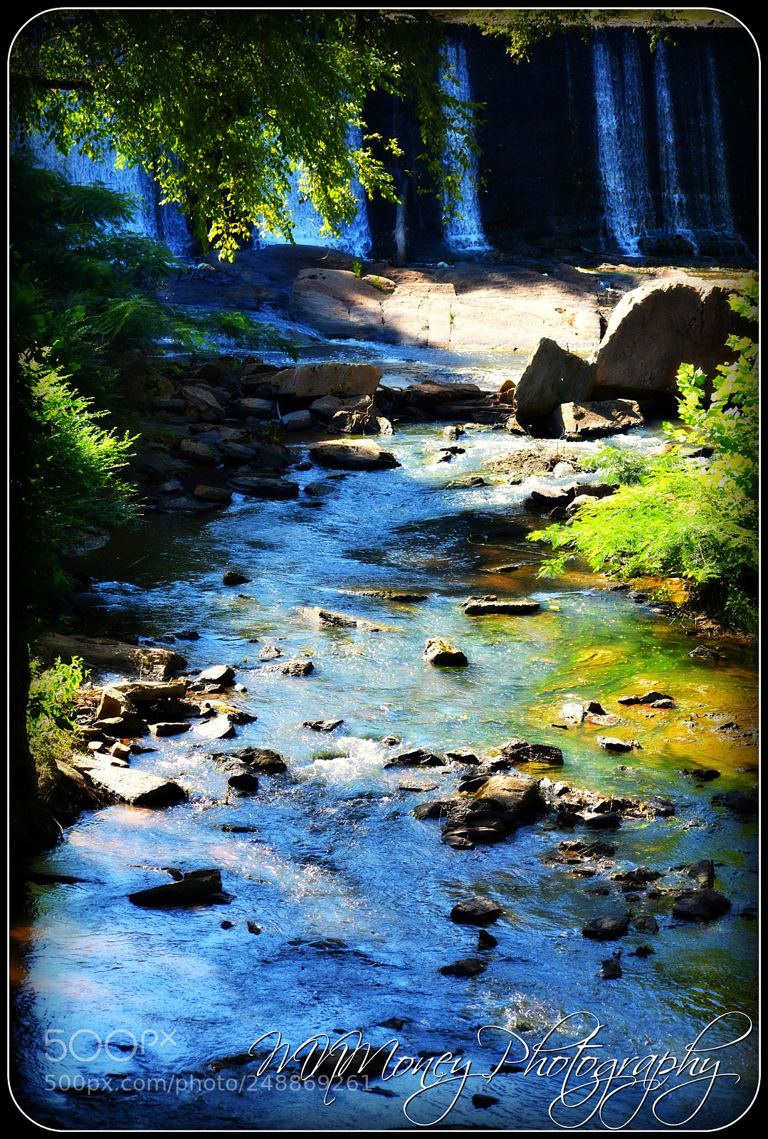 Nikon D3400 sample photo. Untitled photography