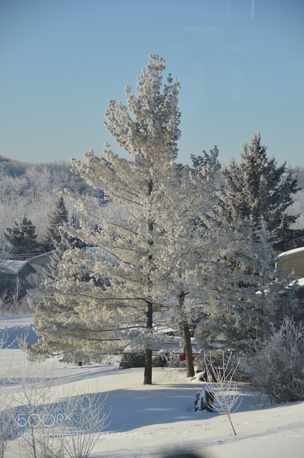 Nikon D3200 sample photo. Untitled photography