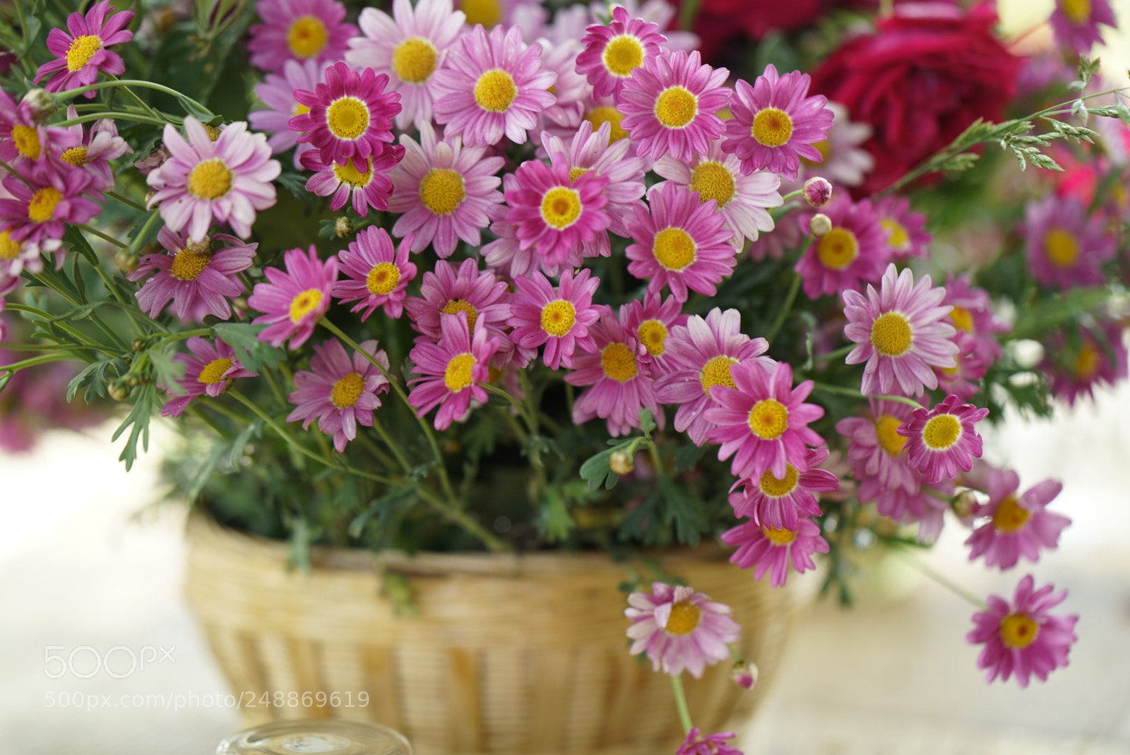 Sony a7R II sample photo. Untitled photography