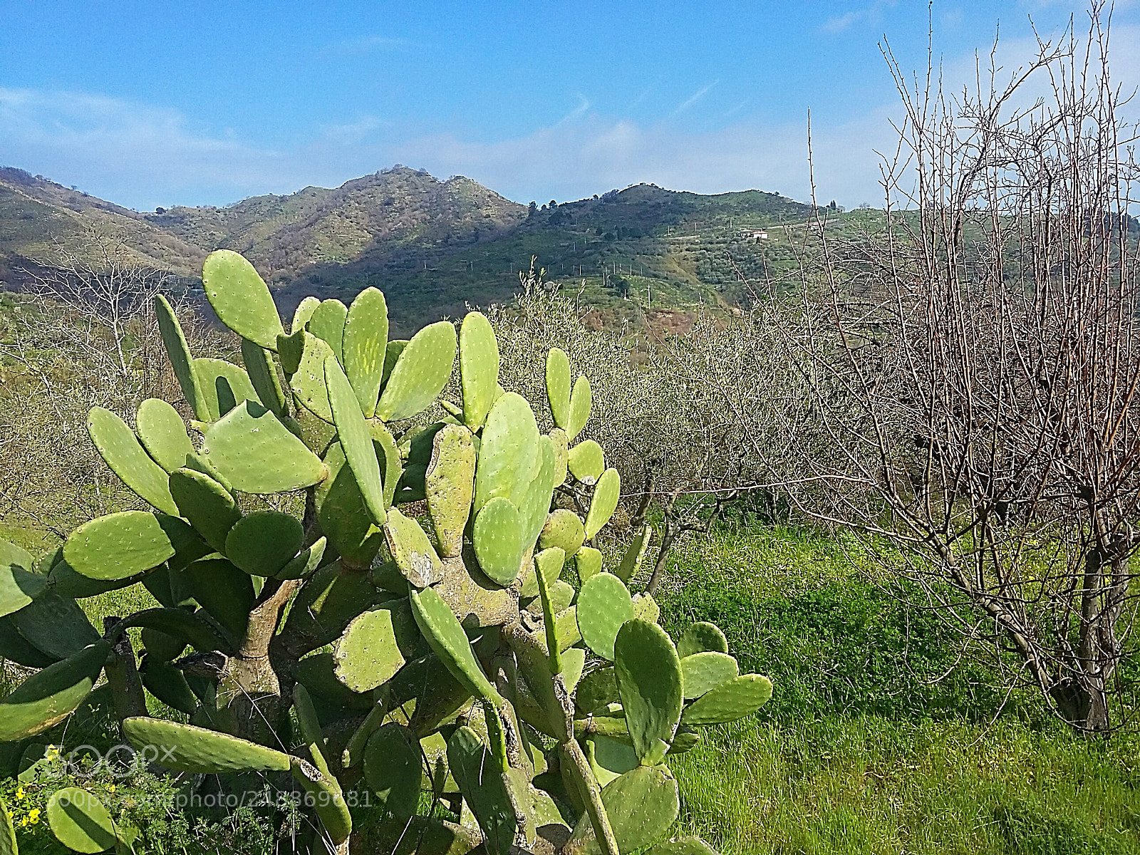 Samsung Galaxy Grand Prime sample photo. Countryside landscape in linguaglossa photography