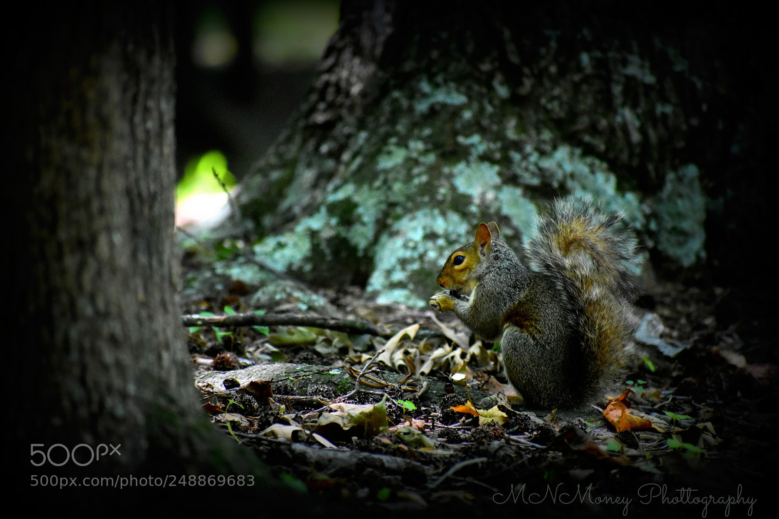 Nikon D3400 sample photo. 010.jpg photography