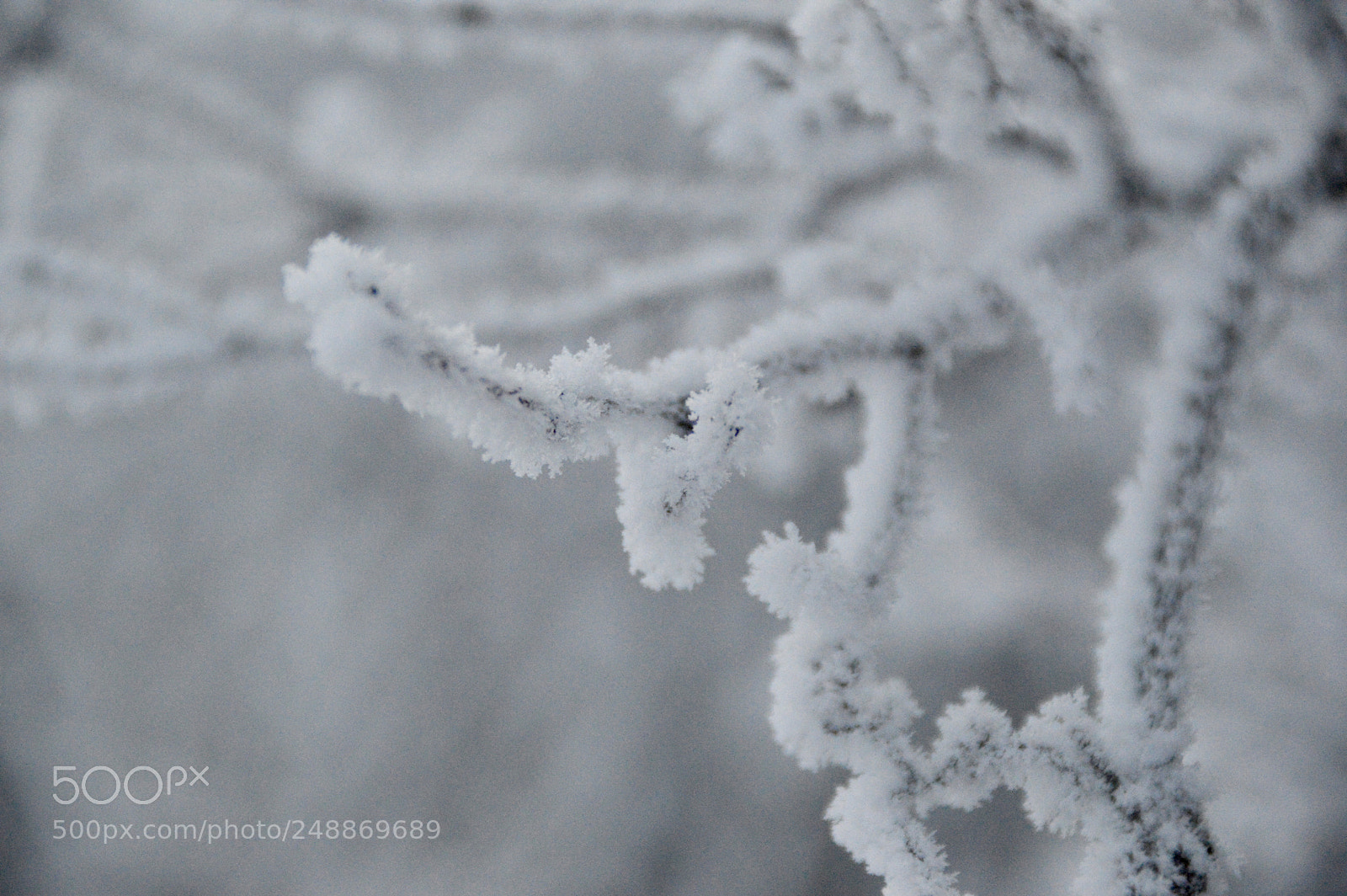 Nikon D3200 sample photo. Untitled photography