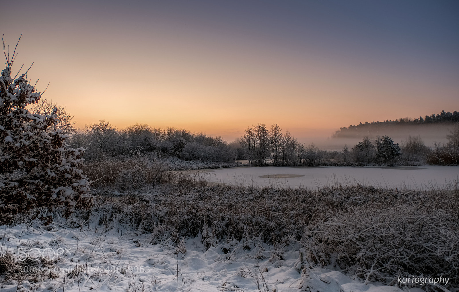 Fujifilm X-T2 sample photo. Frozen photography